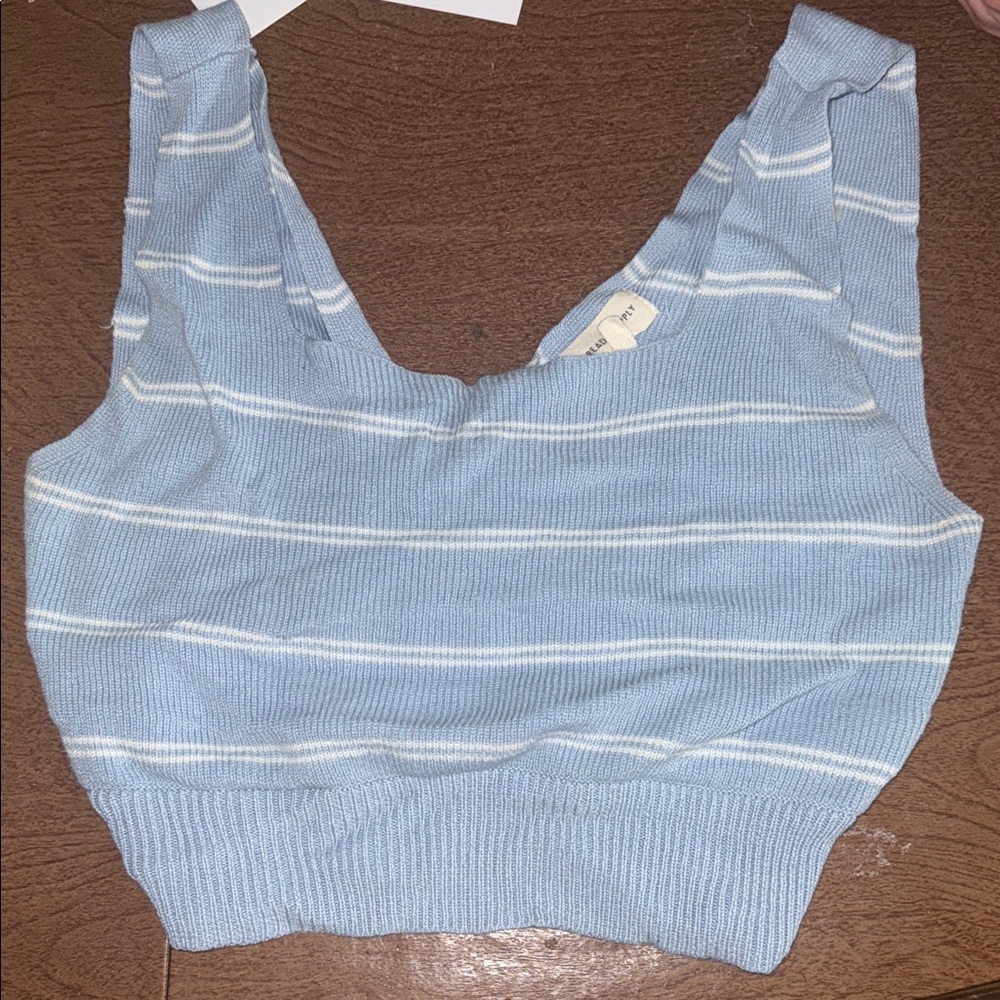 Thread & Supply Light Blue Striped Crop Top